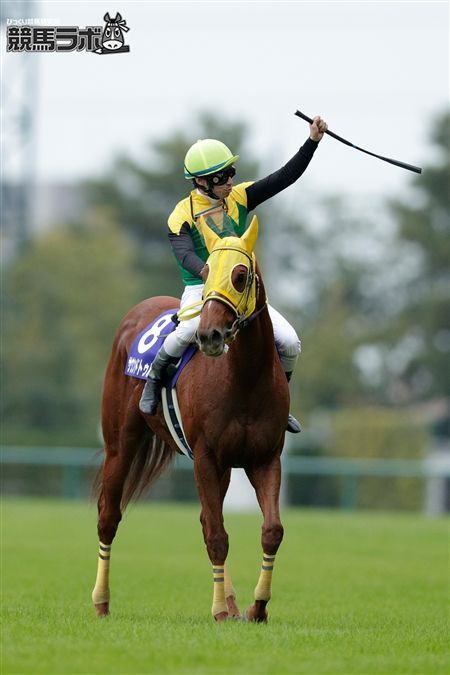 サウンドトゥルー