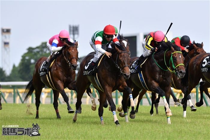 6月24日、八ヶ岳特別を制したリカビトス