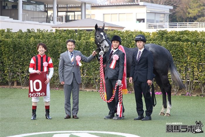 ウインブライト