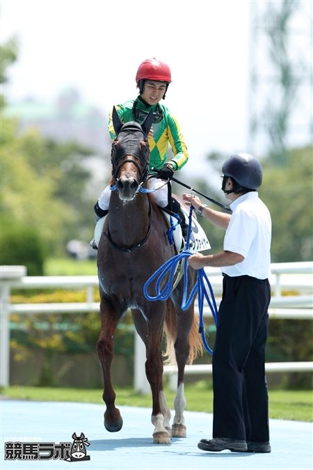 小崎綾也