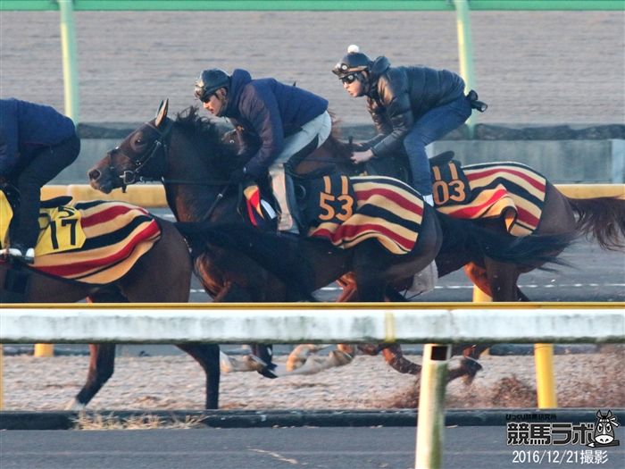 ベストリゾート