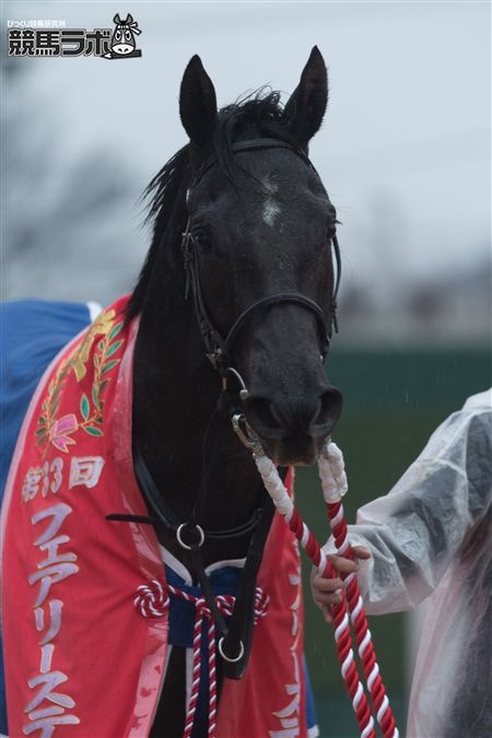 ライジングリーズン