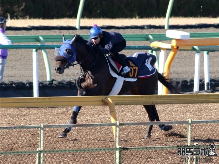 コマノインパルス