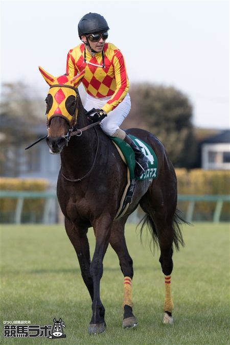 クリスマス