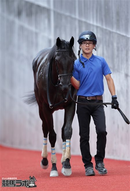 アーデルワイゼ