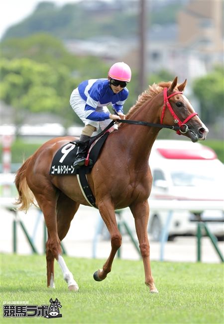 2連勝を飾ったゴールドクイーン