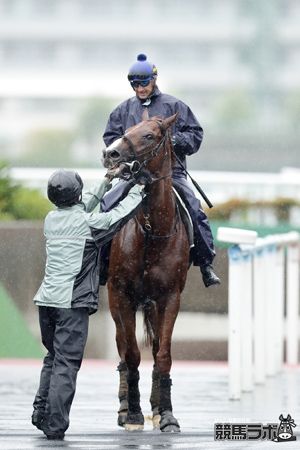ウインムート