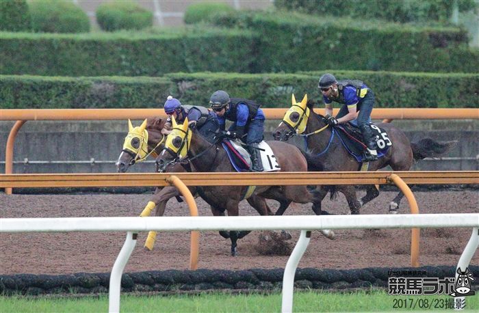 中間は坂路も含めて、併せ馬を何度もこなしているシンデレラメイク
