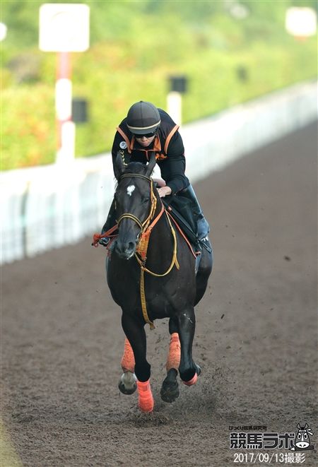 悲願のタイトル獲りに燃えるファンディーナ