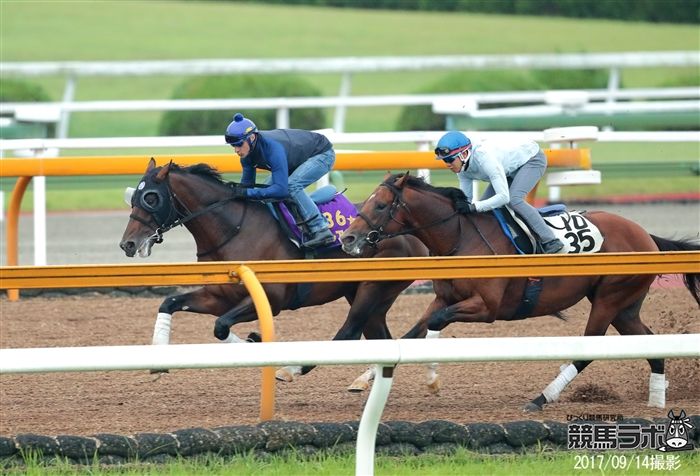 インから鋭く先着を果たした皐月賞馬アルアイン