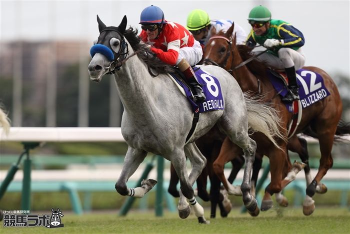 M.デムーロ騎手とのコンビでスプリンターズSを勝利したレッドファルクス