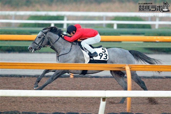 連勝の勢い十分のキンショーユキヒメ
