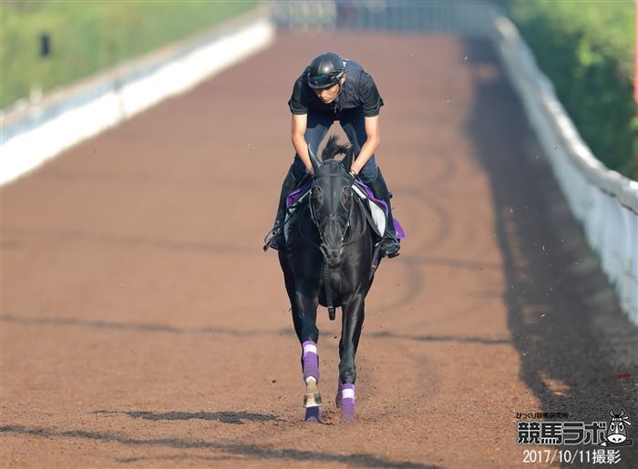 夏を越してさらにパワーアップしたヴィブロス