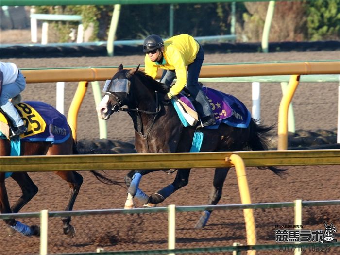 富士Sに向けて最終追い切りを行うイスラボニータ