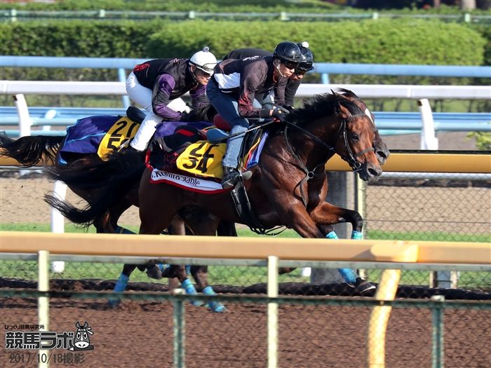 富士Sに向けて最終追い切りを行ロードクエスト(手前)