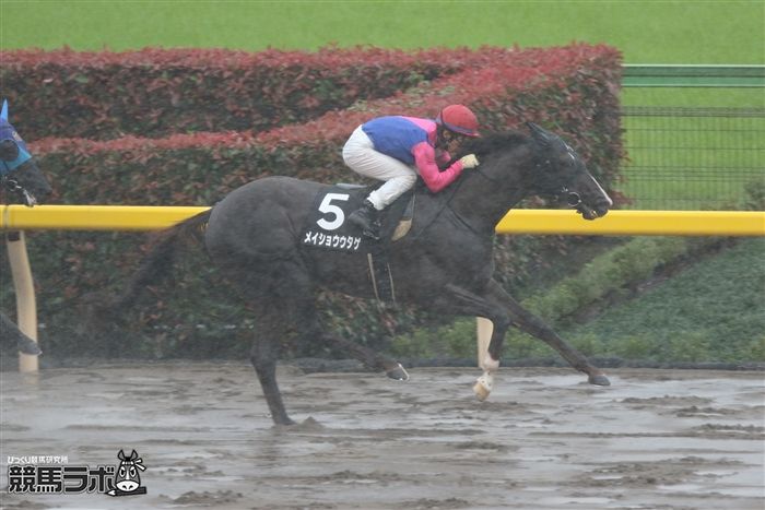 内田博幸騎手とのコンビでブラジルCを勝利したメイショウウタゲ