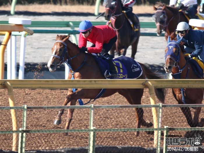 池添騎手とコンビを組むムスコローソ