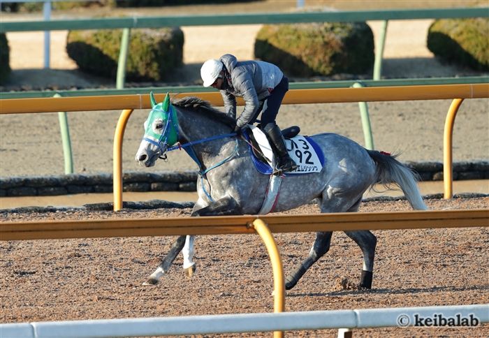新王者へ邁進テイエムジンソク
