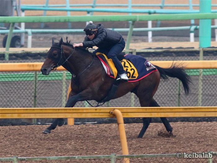 レジェンドセラー