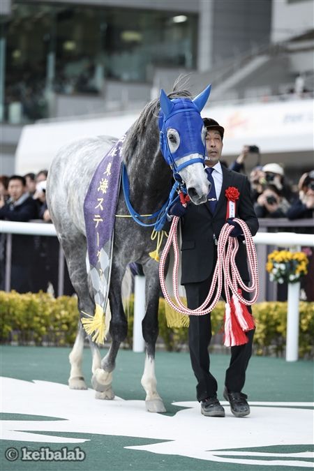 テイエムジンソク