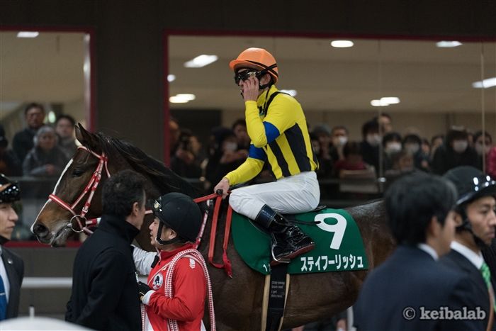 ステイフーリッシュ