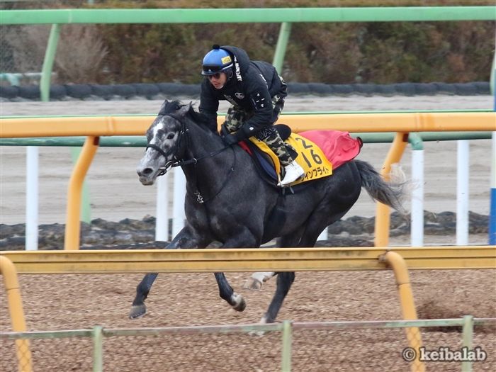 ウインブライト
