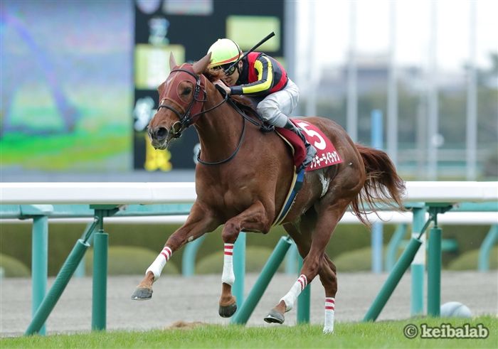 ラッキーライラック