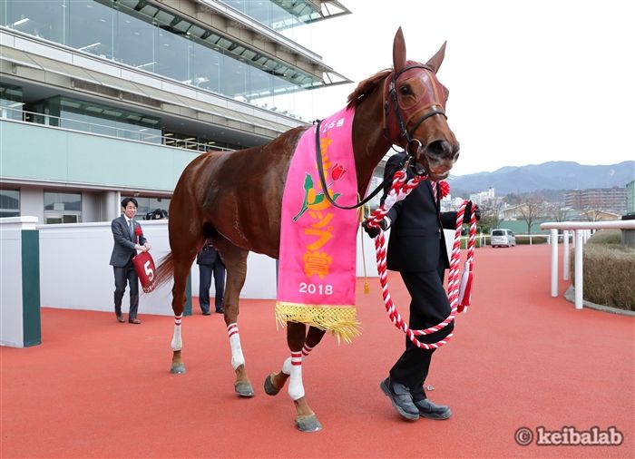 ラッキーライラック
