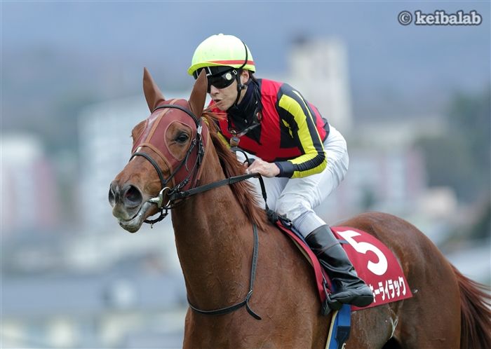 ラッキーライラック