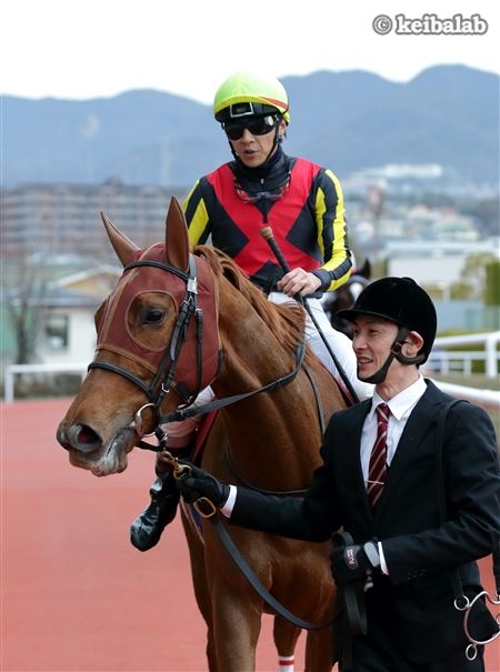 ラッキーライラック