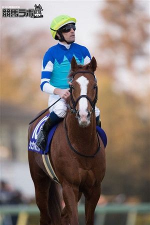 シュヴァルグラン