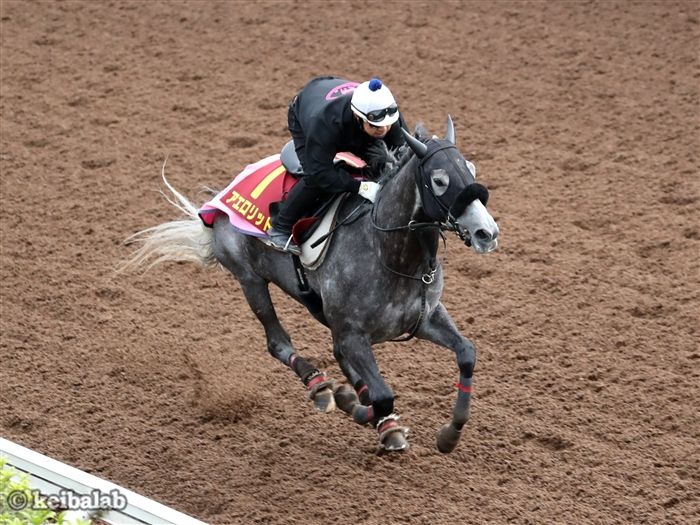 アエロリット
