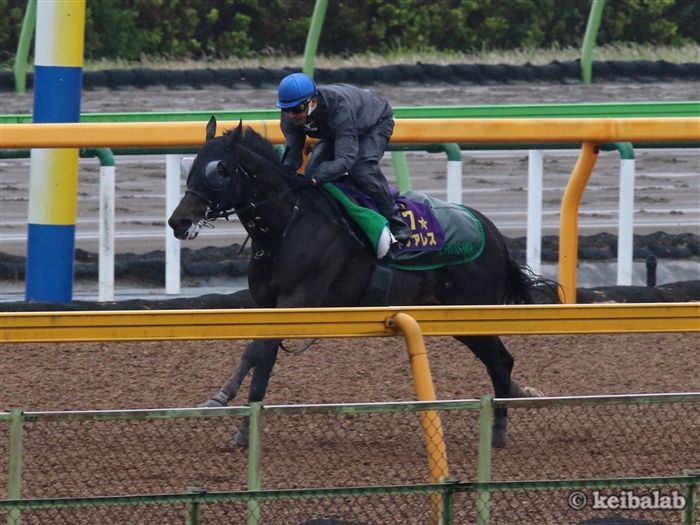 サトノアレス