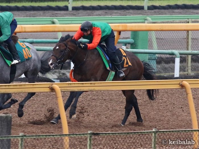 ザイオン