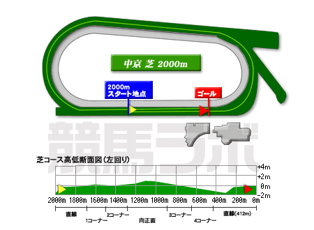 中京競馬場