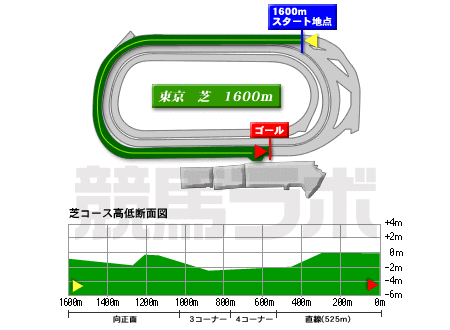 東京競馬場