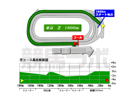 東京競馬場