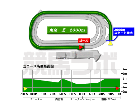 東京競馬場