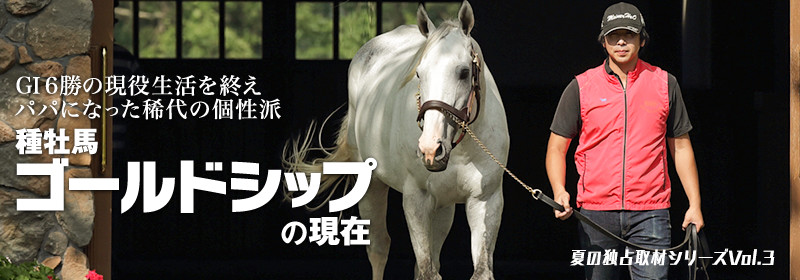種牡馬ゴールドシップの現在とは ビッグレッドファームに独占取材 ゴールドシップ 競馬ラボ 種牡馬ゴールドシップの現在とは ビッグレッドファームに独占取材 ゴールドシップ 競馬ラボ