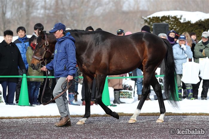 ディープインパクトの種牡馬情報 競馬ラボ