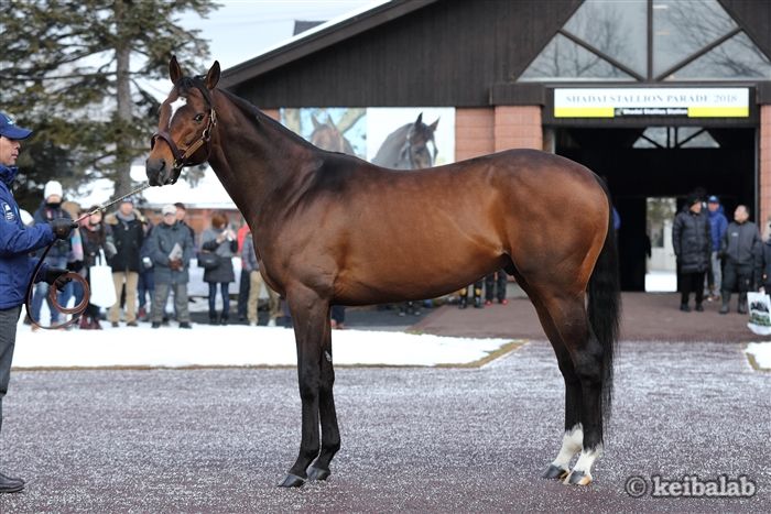 ジャスタウェイの種牡馬情報 競馬ラボ