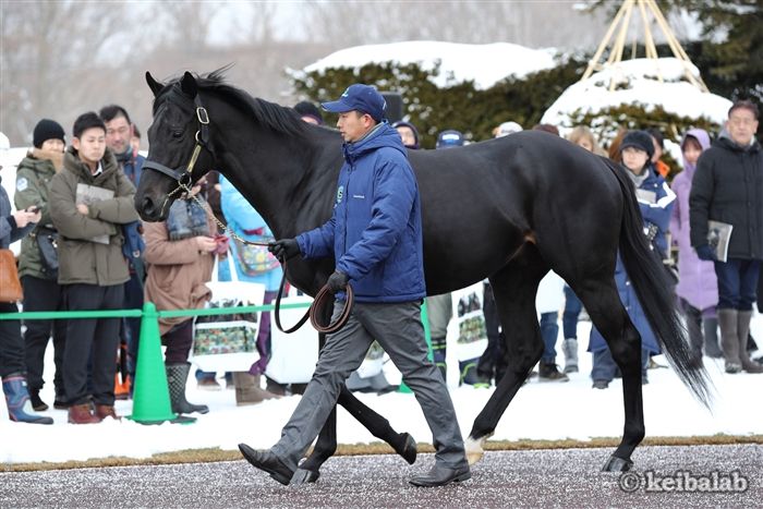フェノーメノの種牡馬情報 競馬ラボ フェノーメノの種牡馬情報 競馬ラボ