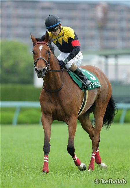 クイーンステークス 想定, JRA【クイーンS（G3）展望】五輪開催が波乱の要因に ... - 函館スプリントステークス2017出走予定馬・予想オッズ日程:2017.6.18 賞金順出走馬可能頭数:16頭 予想 ｵｯｽﾞ 出走予定馬 想定 騎手 厩舎 … オメガヴェンデッタ武豊騎手2番人気！