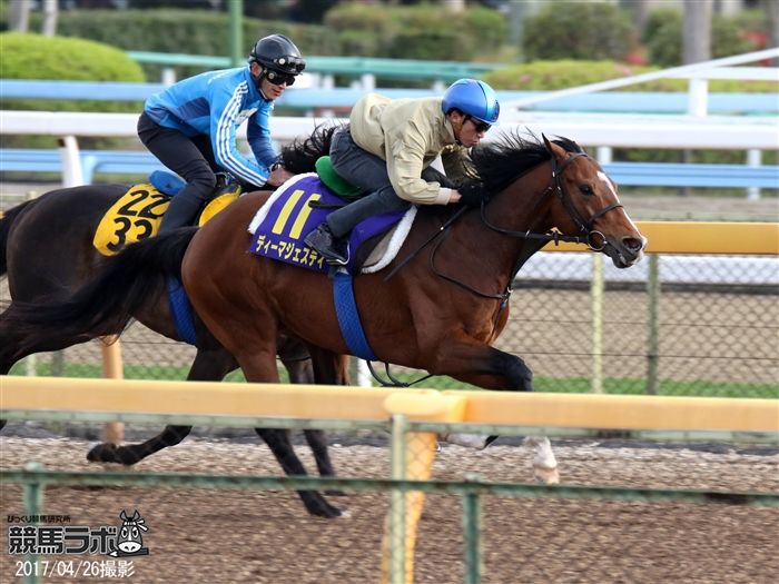 ディーマジェスティの種牡馬情報 競馬ラボ