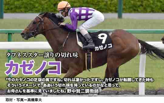 野中賢二調教師