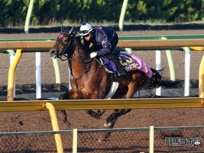 最終追い切りも菊沢師を背にCWコースで行われた