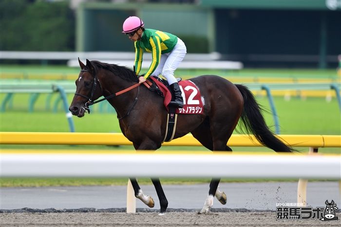 毎日王冠で2着だったサトノアラジン