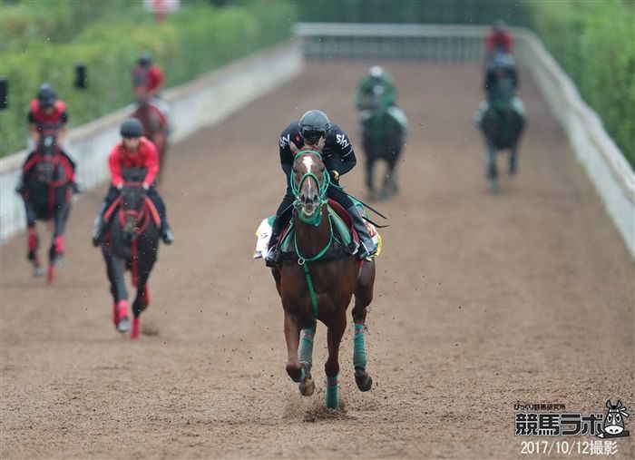 イキイキと坂路を駆け上がったラビットラン