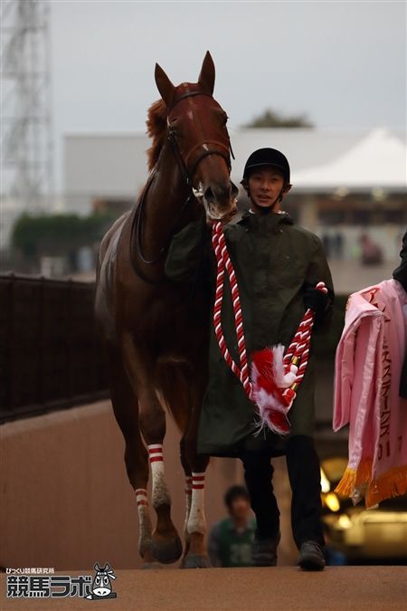 ラッキーライラック