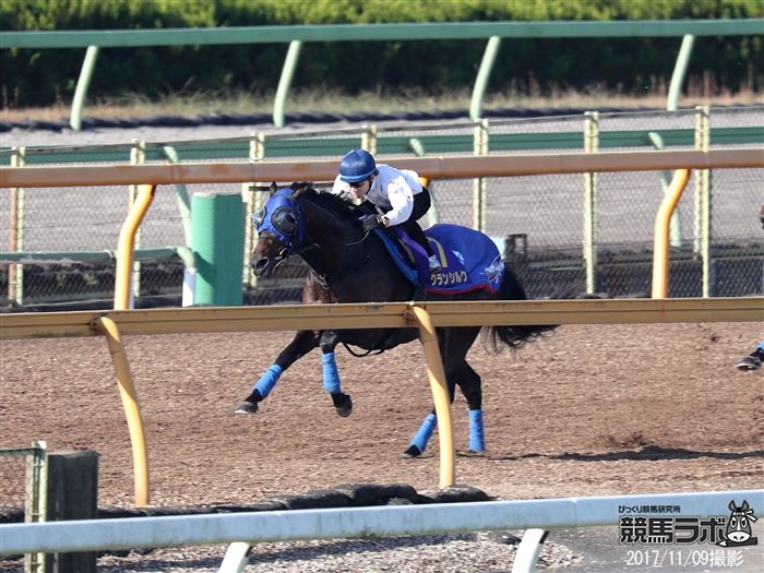 良馬場で巻き返したいグランシルク